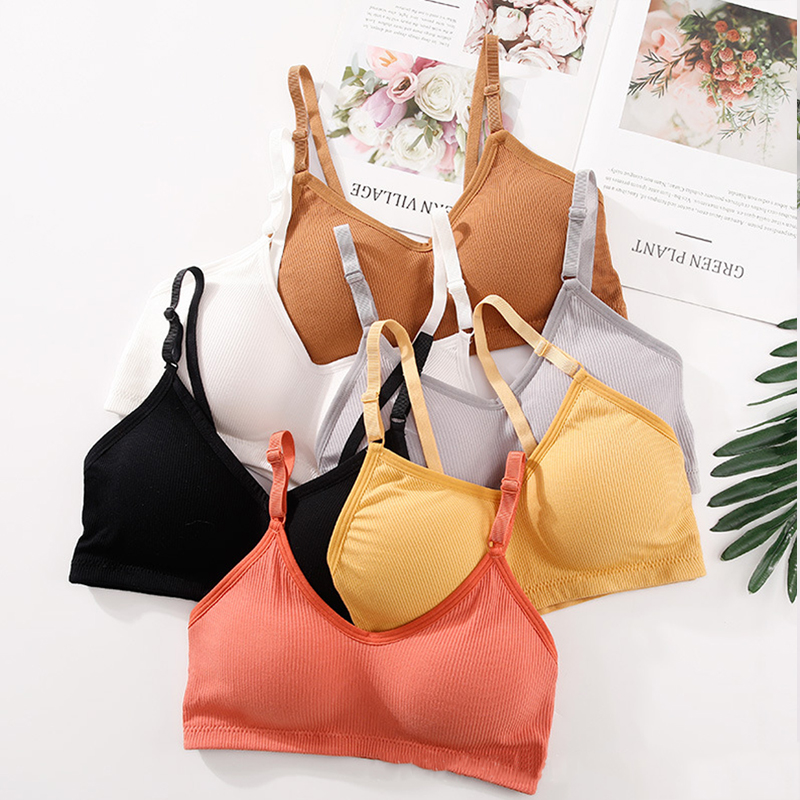 บราไร้โครงสำหรับฤดูร้อน บราไร้ - T Shirt Bra Seamless บทวิจารณ์และราคา